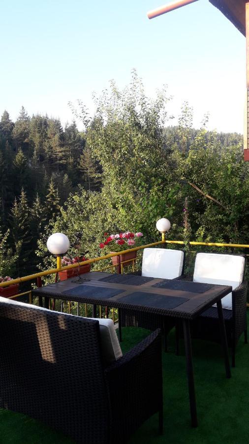 Guest House Stoletnika Яґодіна Екстер'єр фото