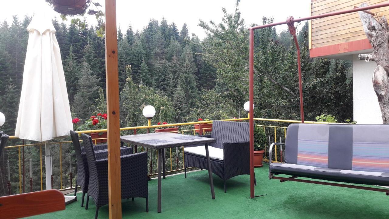 Guest House Stoletnika Яґодіна Екстер'єр фото
