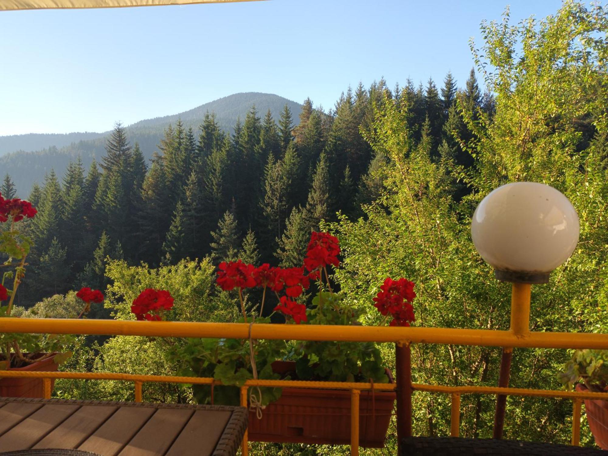 Guest House Stoletnika Яґодіна Екстер'єр фото